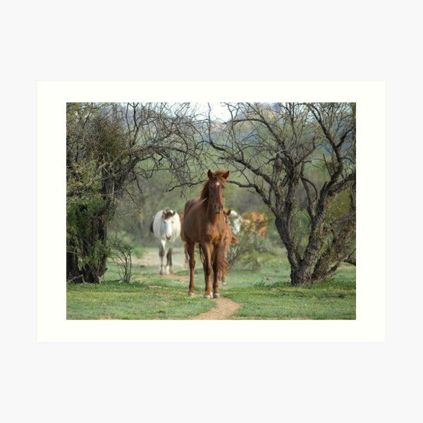 Follow the Leader Art Print