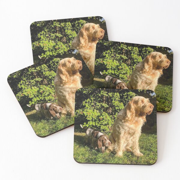 Item preview, Safe with me Spinone  by heidiannemorris designed and sold by FOLK ART FUSION by heidiannemorris.