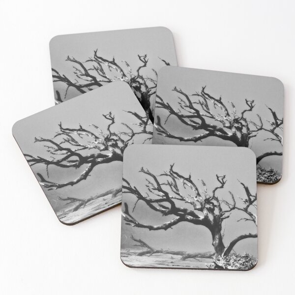 Item preview, Driftwood beach Jekyll Island, Ga.  designed and sold by lovgeorgia.