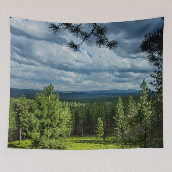 Item preview, Nubes de tormenta en las cascadas de Oregón, Estados Unidos designed and sold by tamal778.