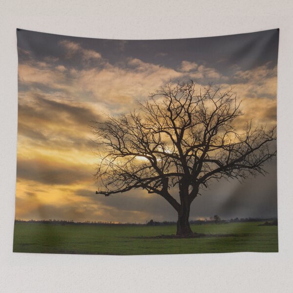 Item preview, Winter sunset Willamette Valley Oregon designed and sold by tamal778.