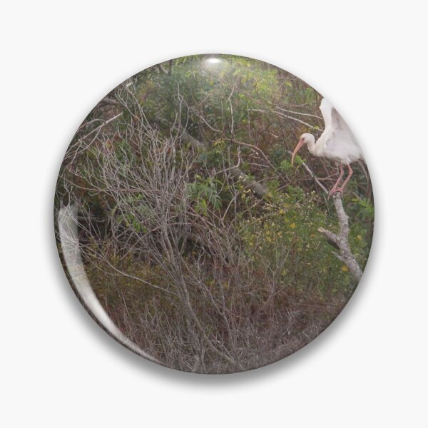 Item preview, White Ibis in spring. Georgia's beautiful marshland  designed and sold by lovgeorgia.