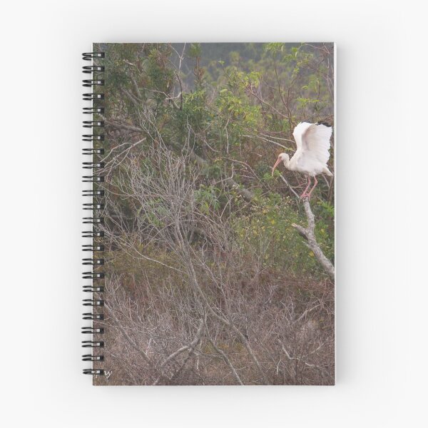 Item preview, White Ibis in spring. Georgia's beautiful marshland  designed and sold by lovgeorgia.