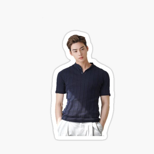 Cha eun woo Pegatina