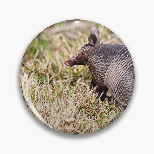 Item preview, Armadillo looking for it's breakfast on Georgia's beautiful coast designed and sold by lovgeorgia.