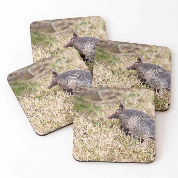 Item preview, Armadillo looking for it's breakfast on Georgia's beautiful coast designed and sold by lovgeorgia.