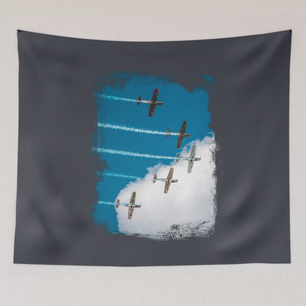 Item preview, Airshow- Aerobatic Airplanes designed and sold by AeroAstro.