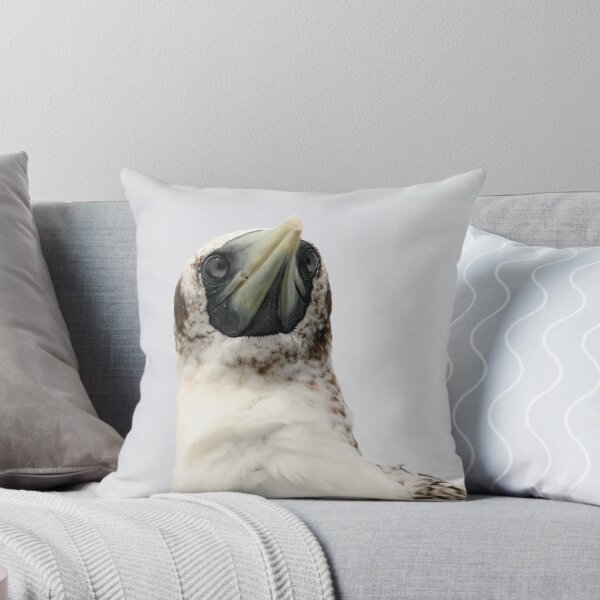 Item preview, Masked Booby designed and sold by Heidi Ingram.