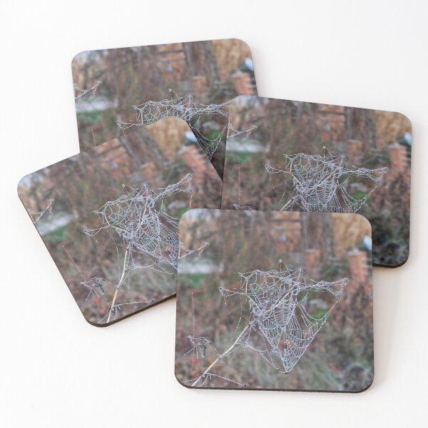 Item preview, Spiderweb designed and sold by javipfotos.