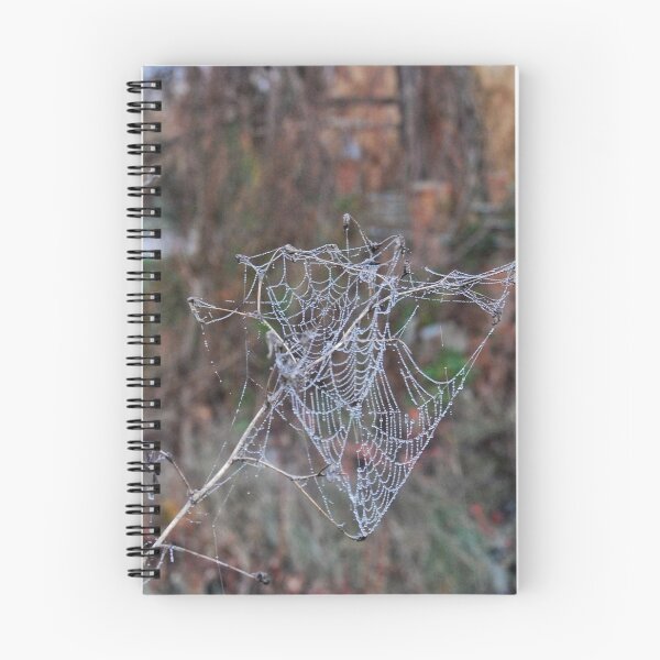 Item preview, Spiderweb designed and sold by javipfotos.