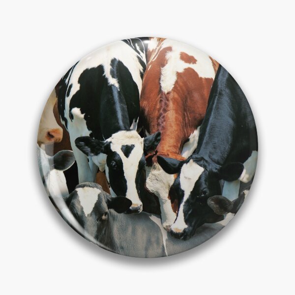Item preview, Cows designed and sold by MaxencePierrard.