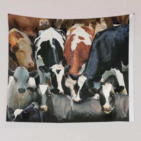 Item preview, Cows designed and sold by MaxencePierrard.