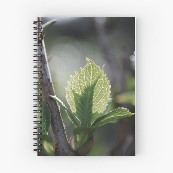 Item preview, Look closer. designed and sold by shyimg.
