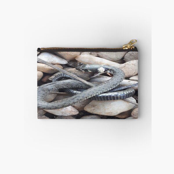 Item preview, Real snake designed and sold by SoniasCreations.