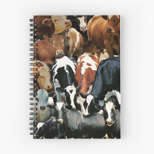 Item preview, Cows designed and sold by MaxencePierrard.