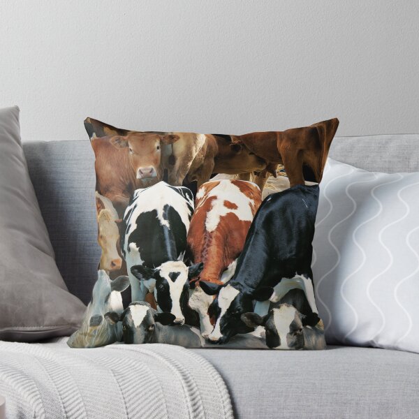 Item preview, Cows designed and sold by MaxencePierrard.