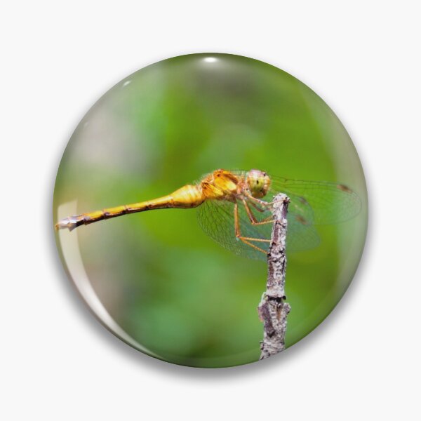 Item preview, Dragon Fly designed and sold by Robert Link.