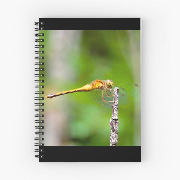 Item preview, Dragon Fly designed and sold by Robert Link.