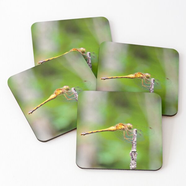 Item preview, Dragon Fly designed and sold by Robert Link.