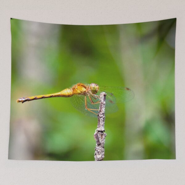 Item preview, Dragon Fly designed and sold by Robert Link.