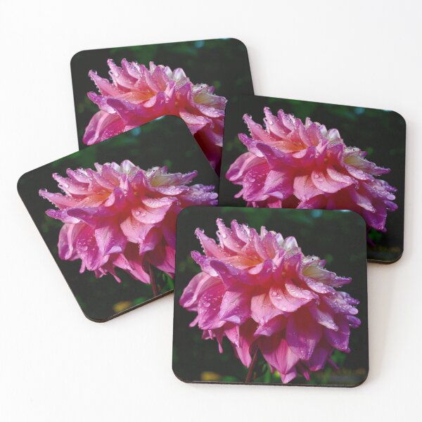 Item preview, Pink Dahlia with water droplets on pedals designed and sold by photosbypamela.