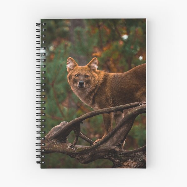 Item preview, Dhole designed and sold by etorviphoto.