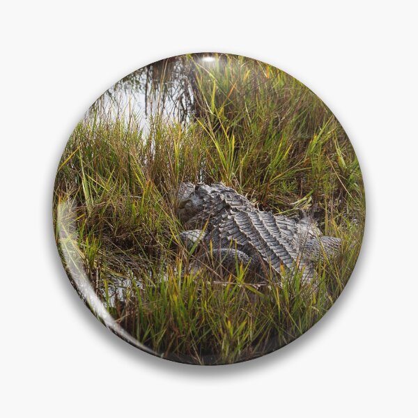 Item preview, Alligator resting on our beautiful Georgia Coast designed and sold by lovgeorgia.