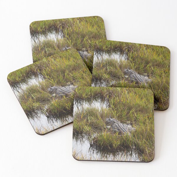 Item preview, Alligator resting on our beautiful Georgia Coast designed and sold by lovgeorgia.