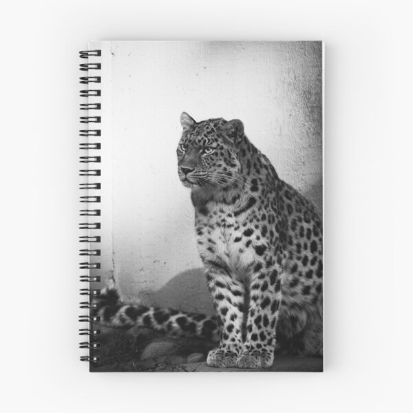Item preview, Amur Leopard designed and sold by etorviphoto.