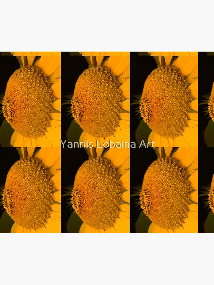 The little tournasol By Yannis Lobaina by lobaina1979