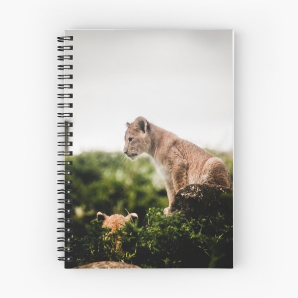 Aperçu de l'œuvre African Lion Cub créée et vendue par etorviphoto.