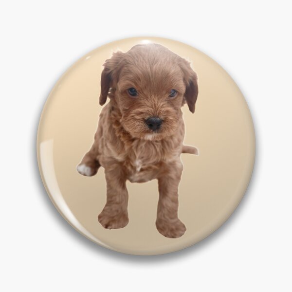 Item preview, Cavapoo Puppy designed and sold by thecavapootales.