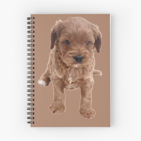 Item preview, Cavapoo Puppy designed and sold by thecavapootales.