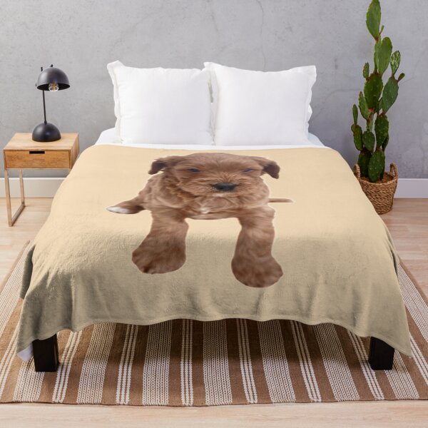 Item preview, Cavapoo Puppy designed and sold by thecavapootales.