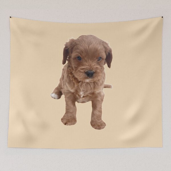 Item preview, Cavapoo Puppy designed and sold by thecavapootales.