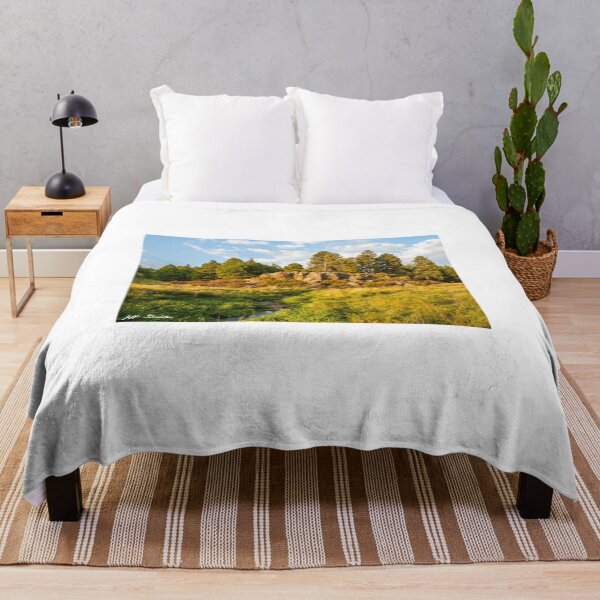 Item preview, Kaibab Limestone Formation Along the Rio de Flag designed and sold by Jeff Goulden Photography.