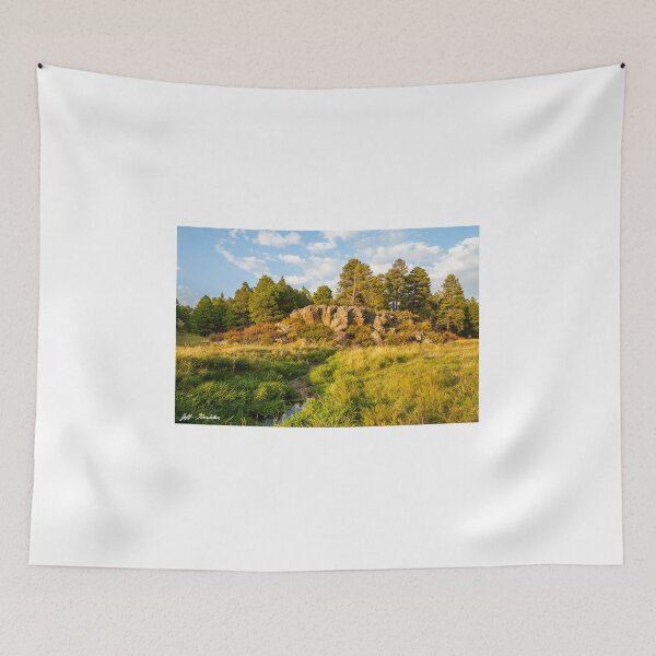 Item preview, Kaibab Limestone Formation Along the Rio de Flag designed and sold by Jeff Goulden Photography.