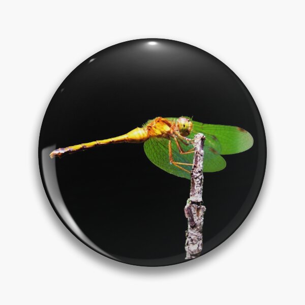 Item preview, Dragon Fly designed and sold by Robert Link.