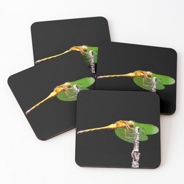 Item preview, Dragon Fly designed and sold by Robert Link.