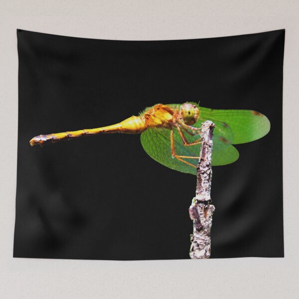 Item preview, Dragon Fly designed and sold by Robert Link.