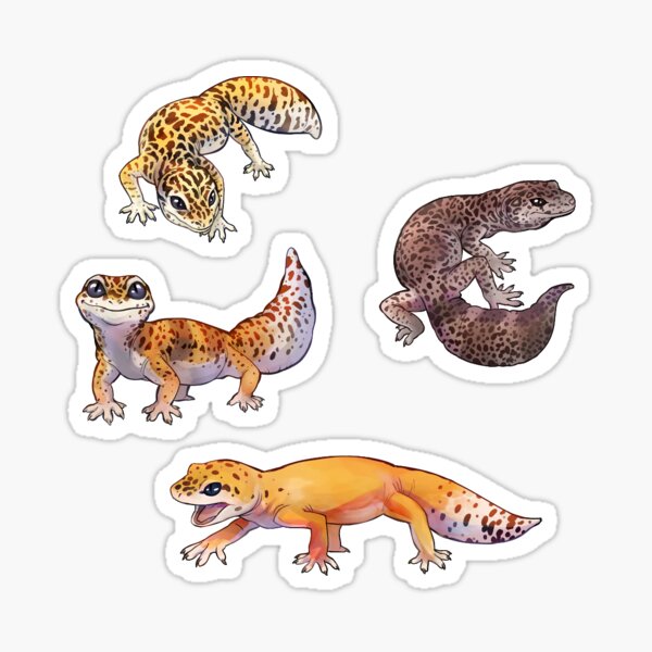 Item preview, Leopard Gecko designed and sold by CanisLatranz.
