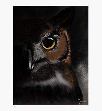 Owl, Darkness Photographic Print
