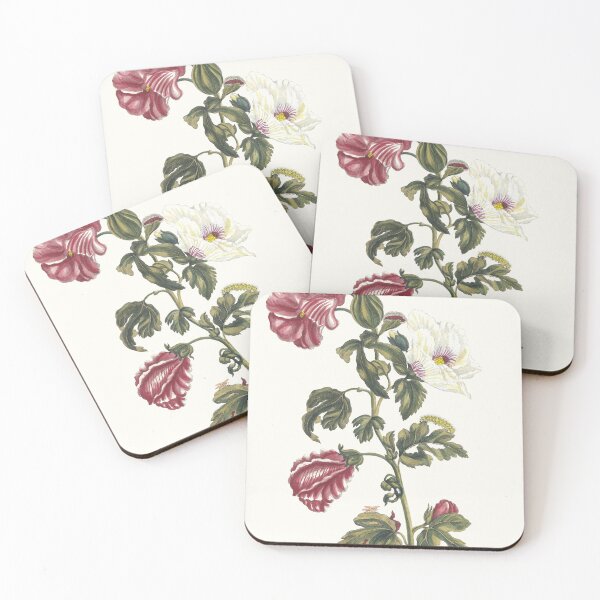 Item preview, 1705 Vintage German Floral Print: Althea designed and sold by bellatierra.