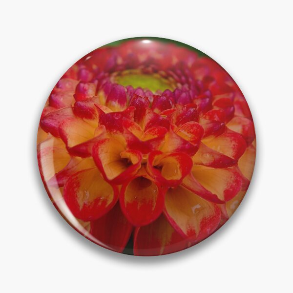 Item preview, Orange and Yellow Dahlia designed and sold by photosbypamela.