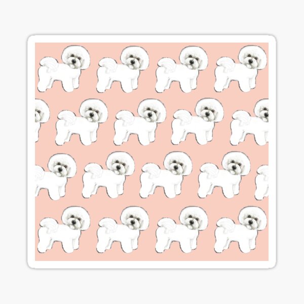 Bichon Frise dogs on Peach Glossy Sticker