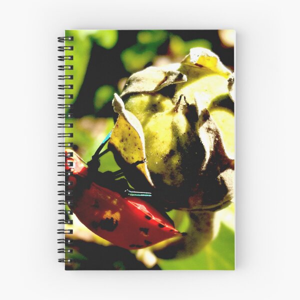 Item preview, Bug and Bud designed and sold by Geoff Treagus.