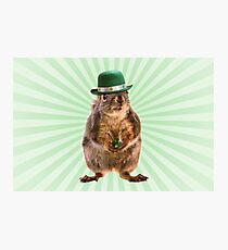 St Patricks Day Squirrel Photographic Print