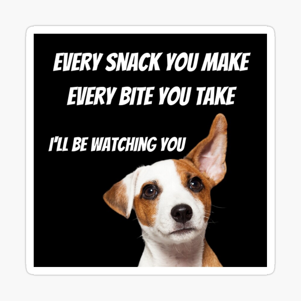 Short Funny Dog Quotes