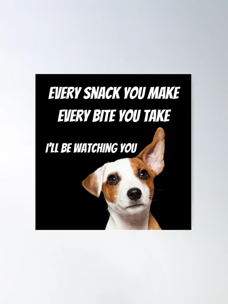 funny dog thoughts about food dog quotes