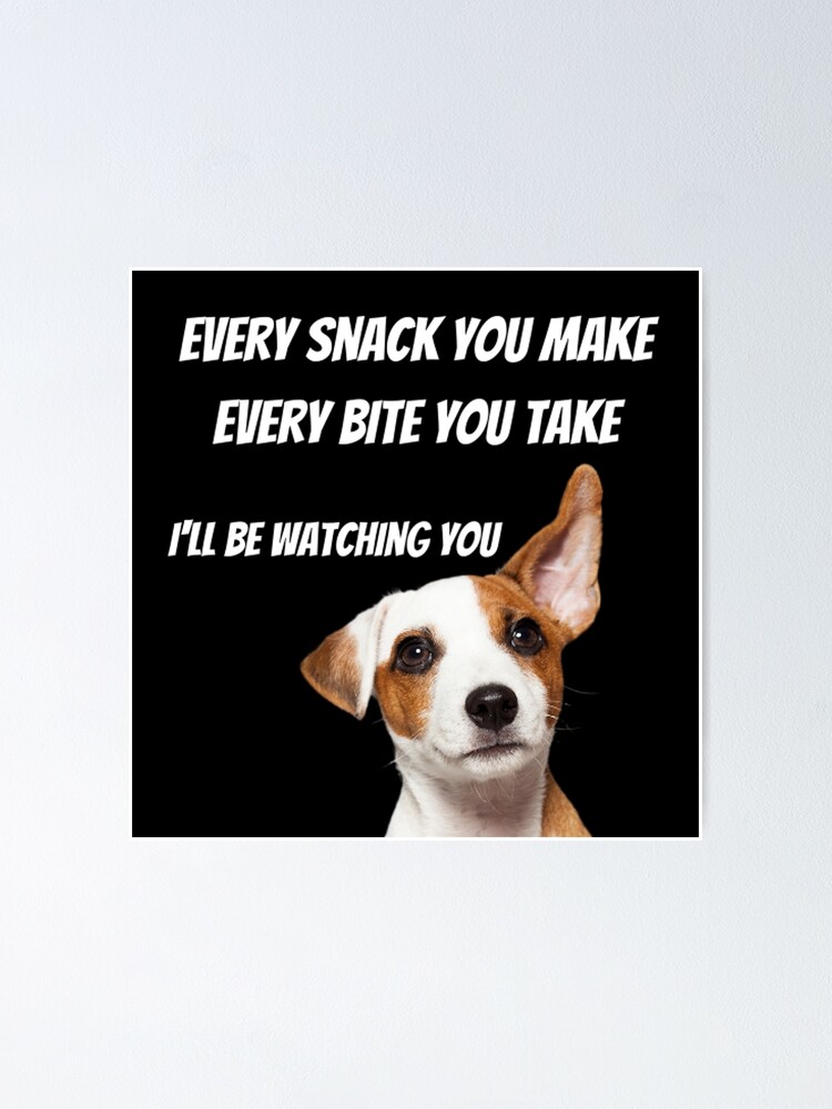 funny dog thoughts about food, dog quotes\